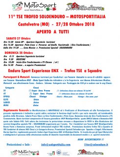 bozza regolamento 11 tse  2018.jpg